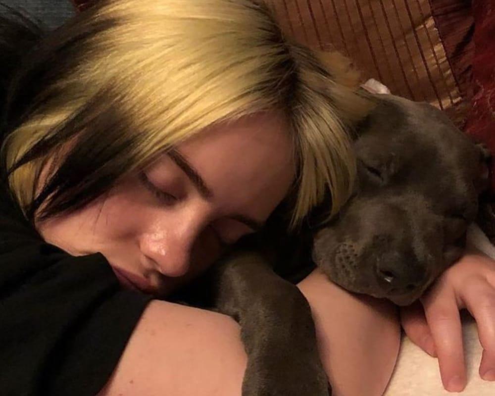 Billie Eilish ve Köpeği Shark: Müzikten Kalplere Uzanan Bir Dostluk