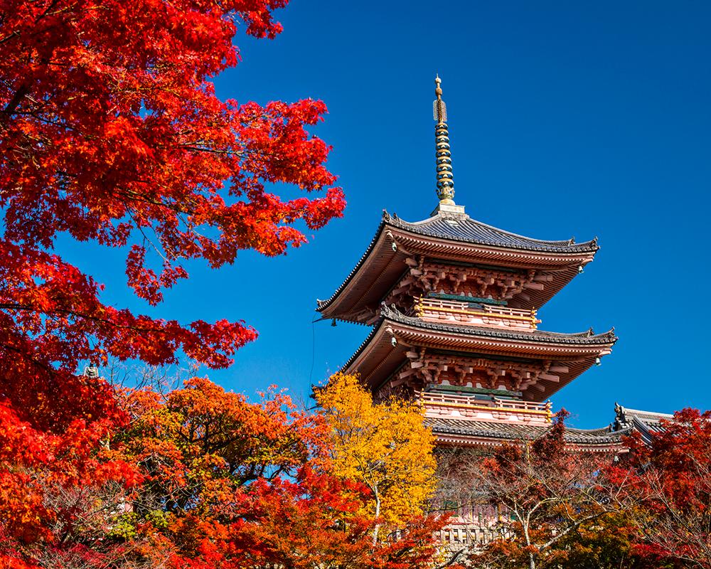 Japonya'nın Kültürel Mirası: Kyoto'ya Yolculuk